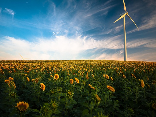 Saubere Energie und ihre Rolle im Klimaschutz